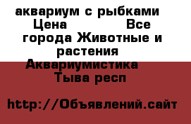 аквариум с рыбками › Цена ­ 15 000 - Все города Животные и растения » Аквариумистика   . Тыва респ.